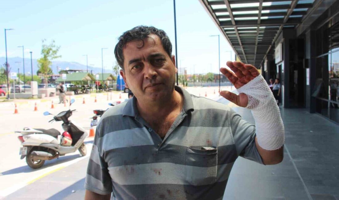 Aydın’da Kurban Bayramı’nın ilk gününde her yıl olduğu gibi bu