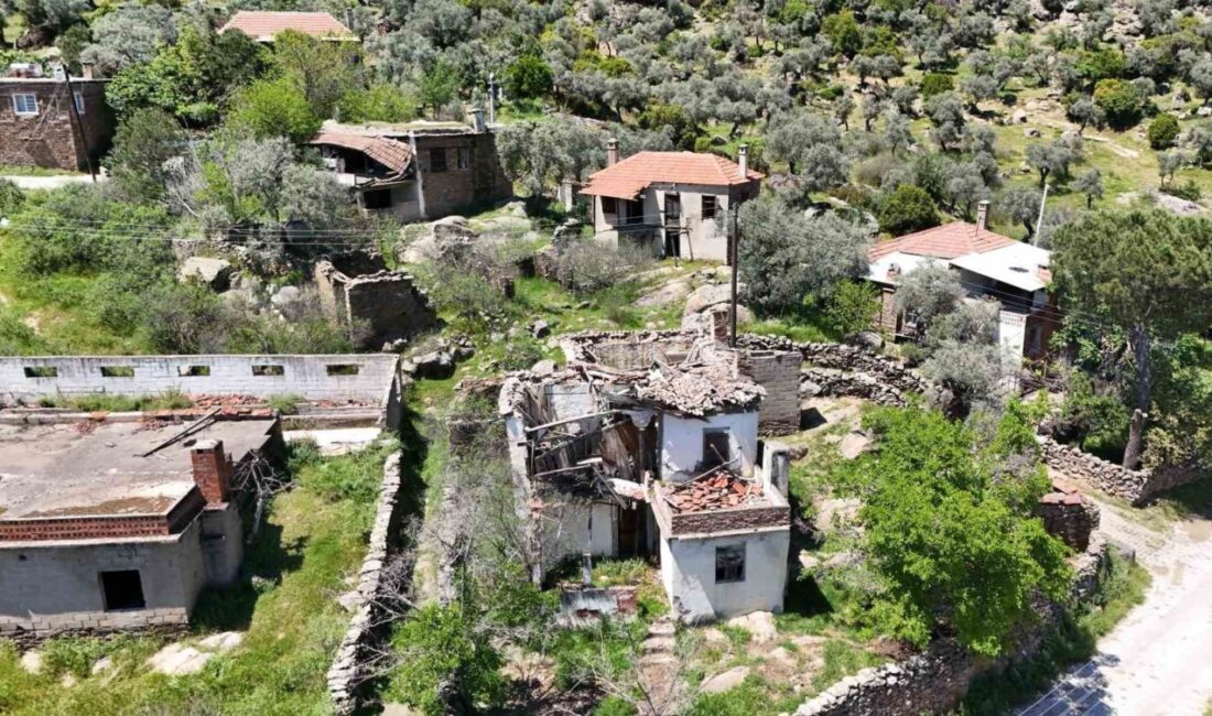 Bir zamanlar yüzlerce kişinin yaşadığı verimli toprakları ile bilinen Aydın’ın