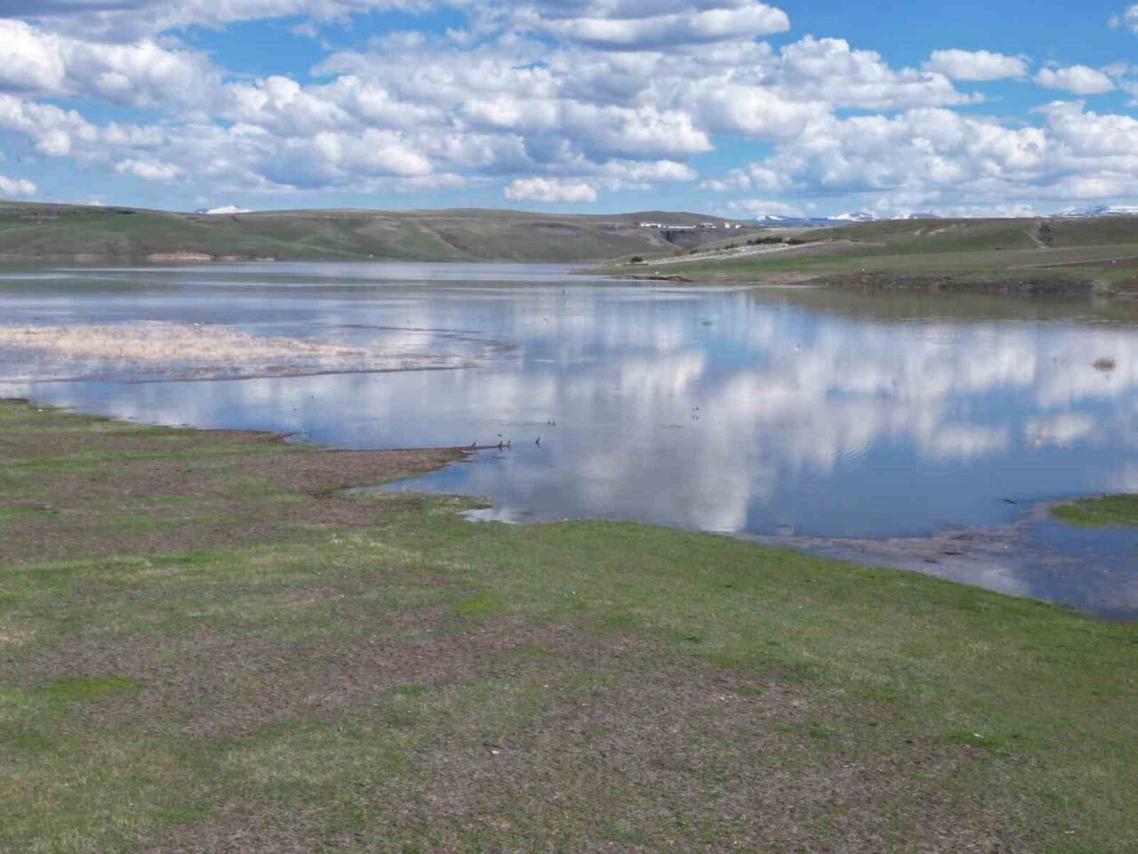 Yağışların ardından yüzde 100 doluluk oranına ulaşan Kars Baraj Gölü,