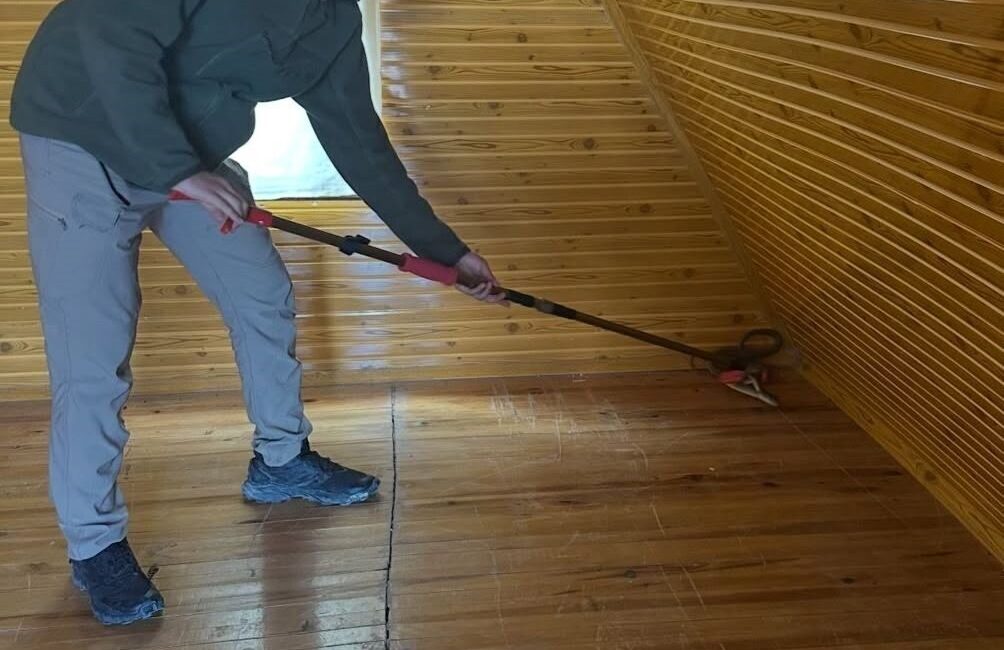 Burdur’da eve giren Hazer yılanı Doğa Koruma ve Milli Parklar