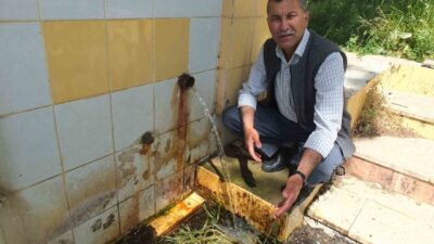 Burhaniye ilçesinde, yağmurlu geçen kışın ardından zeytinde bol ürün umudu