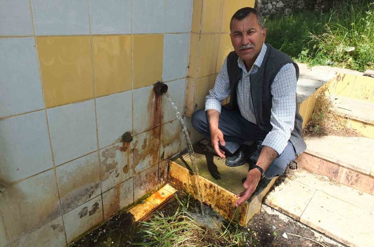 Burhaniye ilçesinde, yağmurlu geçen kışın ardından zeytinde bol ürün umudu