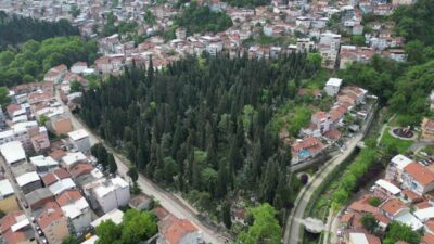 Bursa Büyükşehir Belediyesi, Kurban Bayramı öncesinde şehir genelindeki mezarlıklarda kapsamlı