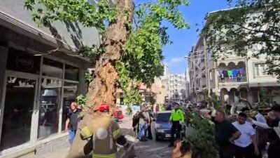 Bursa’nın Karacabey ilçesinde seyir halindeki 2 araç ile bir motosikletin