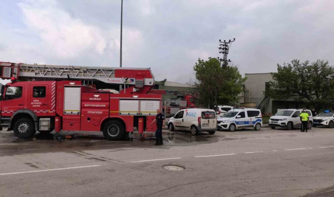 Bursa’nın İnegöl ilçesinde faaliyet gösteren bir sunta fabrikasında yangın çıktı.