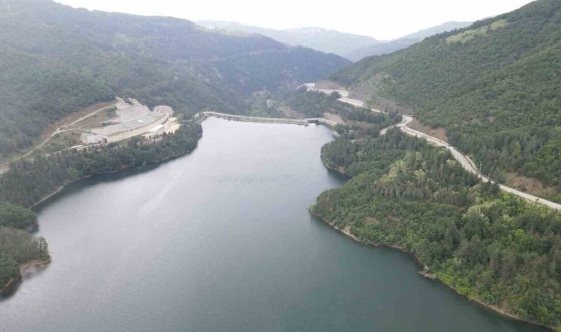 Bursa’da yaklaşık yaklaşık 7 ay önce Doğancı ve Nilüfer barajlarında