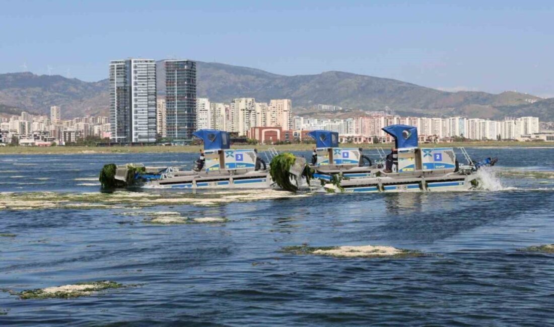 İzmir Körfezi’nde özellikle Gediz Nehri ve Ağıl Deresi üzerinden taşınan