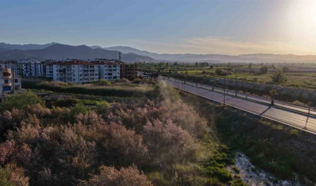 Balıkesir Büyükşehir Belediyesi, halk sağlığını korumak için haşereyle mücadele çalışmalarını