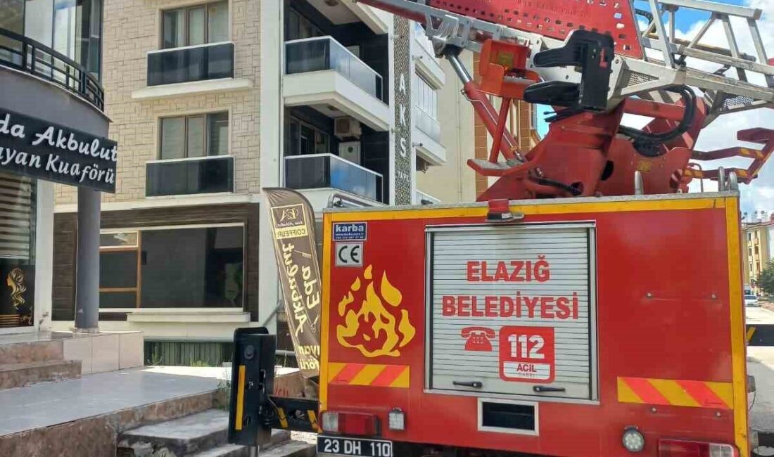 Elazığ’da cam arasına sıkışan güvercin, itfaiye ekipleri tarafından kurtarıldı. Edinilen