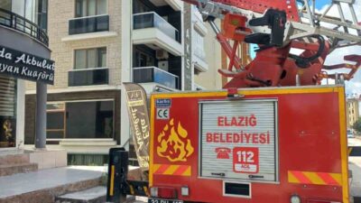 Elazığ’da cam arasına sıkışan güvercin, itfaiye ekipleri tarafından kurtarıldı. Edinilen