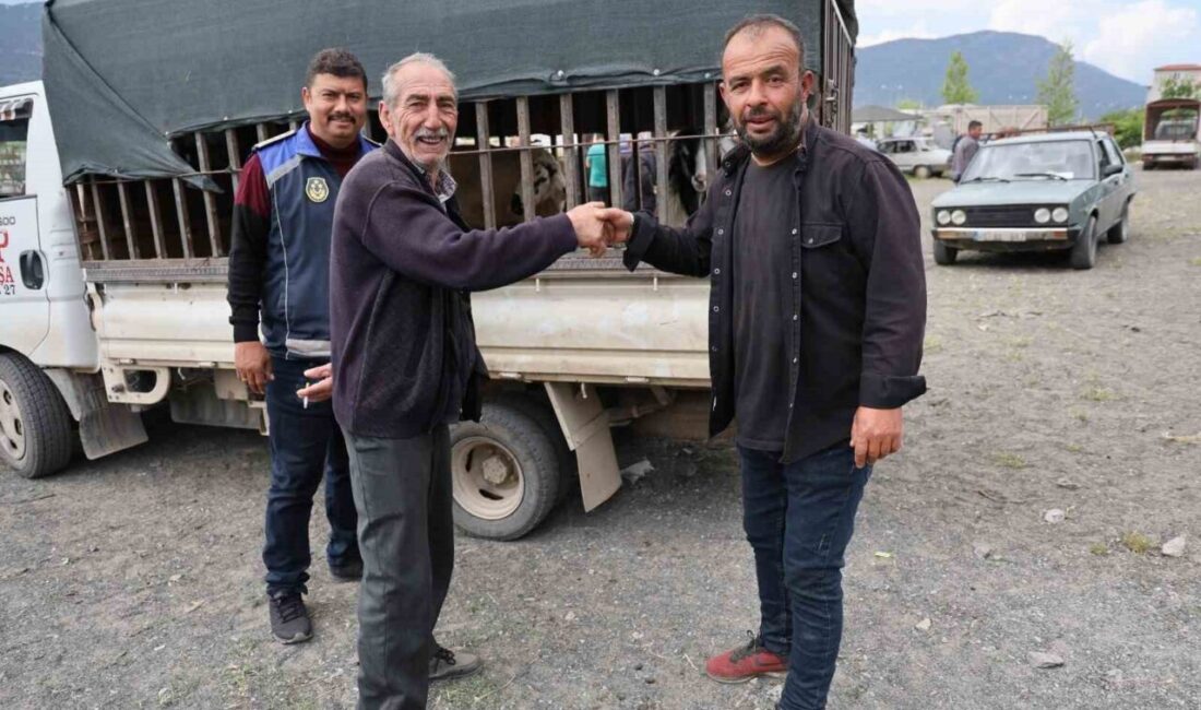 Denizli’nin Çameli ilçesinde Kurban Bayramı’nın yaklaşmasıyla birlikte canlı hayvan pazarında