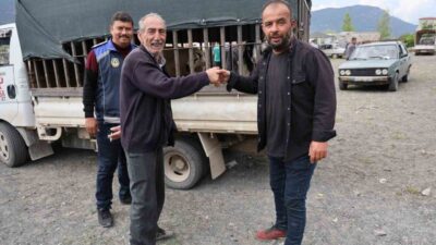 Denizli’nin Çameli ilçesinde Kurban Bayramı’nın yaklaşmasıyla birlikte canlı hayvan pazarında