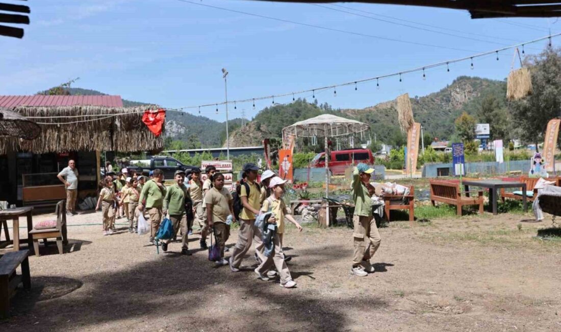 Muğla’nın Marmaris ilçesinde Büyükşehir Belediyesi Tıbbi Bitkiler Koleksiyon Bahçesi’nin yanında,