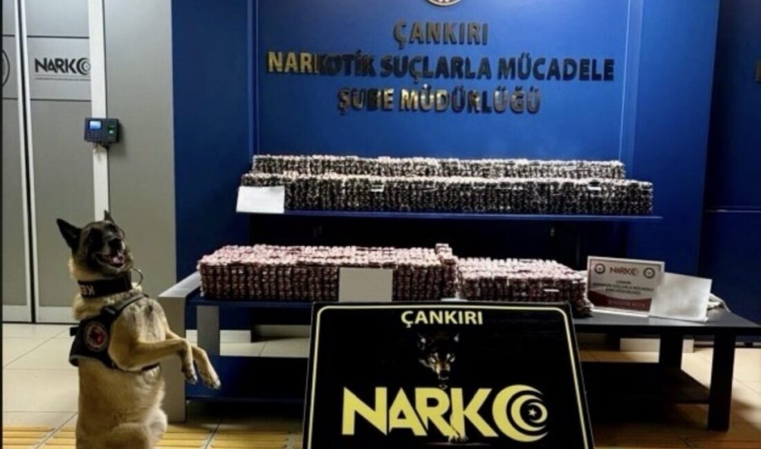 Çankırı’da polis ekipleri tarafından düzenlenen operasyonda 85 bin adet hap