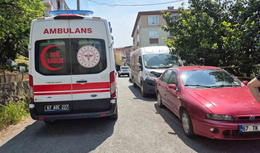 Zonguldak’ın Karadeniz Ereğli ilçesinde bir kişi, doğal gaz borusuna astığı