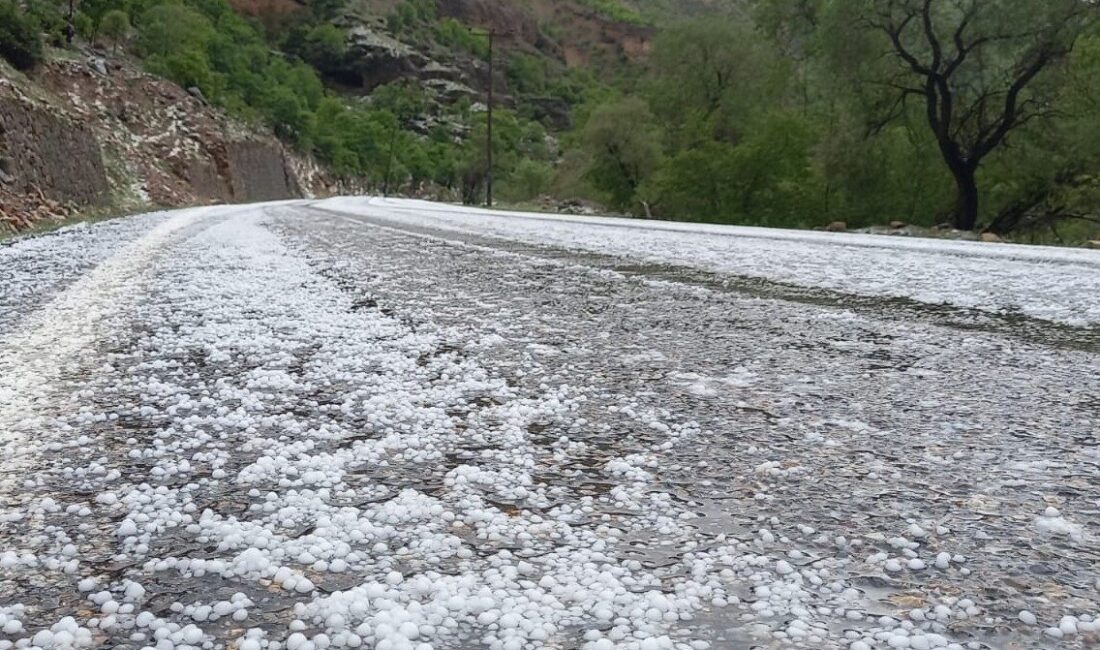 Erzincan’ın Çayırlı ilçesinde dolu yağışı etkili oldu. Çayırlı’da aralıklı sağanak