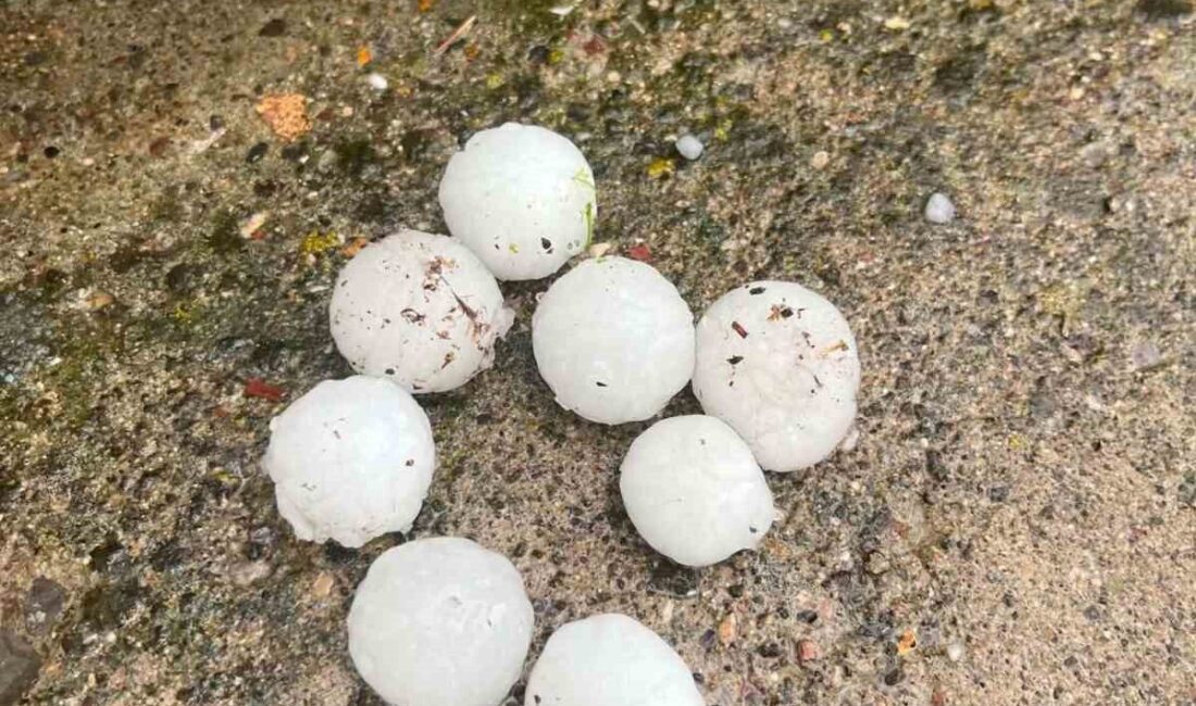 Kayseri’nin Tomarza ilçesinde ceviz büyüklüğünde yağan dolu, çiçek açmış ağaçlara