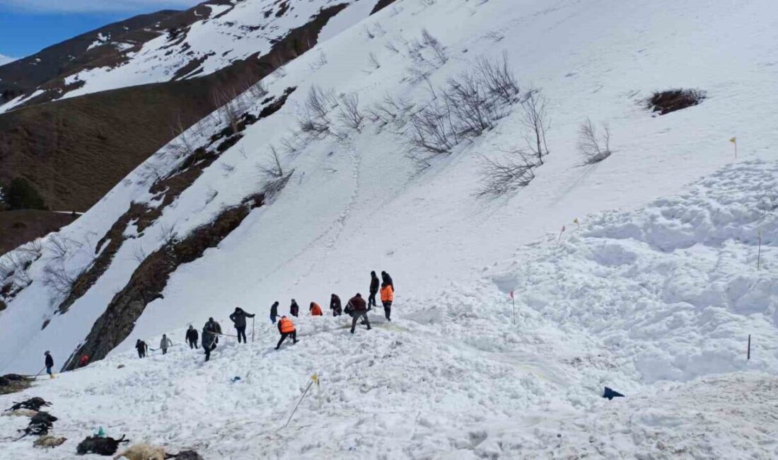 Artvin’in Ardanuç ilçesinde çığ felaketinde kaybolan çobanın cansız bedenine 125