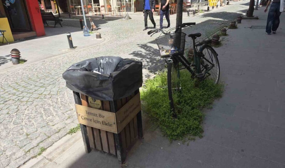 Eskişehir’de bir çöp kutusunun hemen yanındaki bisiklete ait sepetin atıklarla