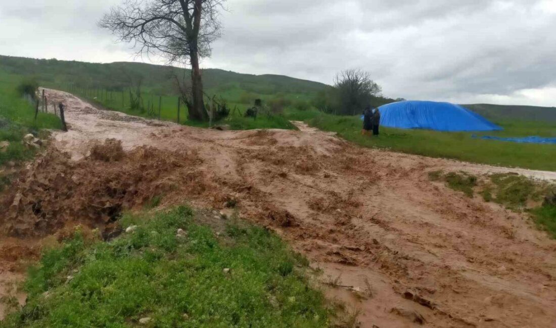 Çorum’un Alaca ilçesine bağlı köylerde etkili olan sağanak yağış sele