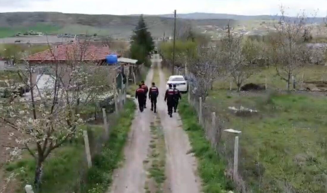 Çorum’da jandarma ekipleri tarafından bu yıl gerçekleştirilen uyuşturucu operasyonlarında 220