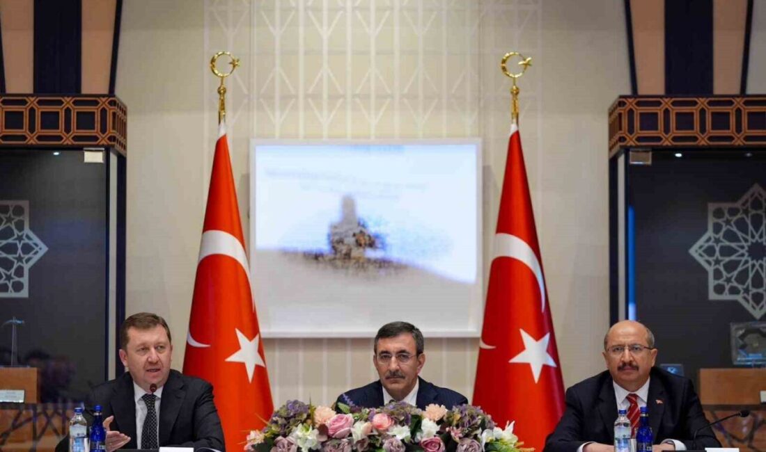 Cumhurbaşkanı Yardımcısı Cevdet Yılmaz, “Denetim süreçlerinde yapay zeka destekli, düzenli
