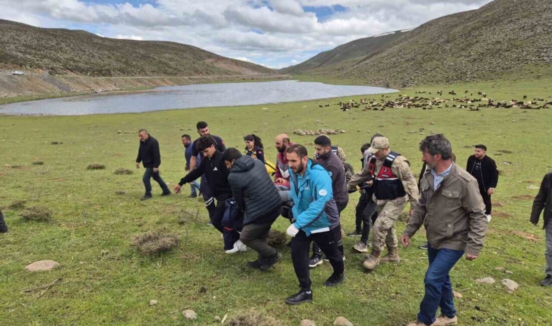 Bingöl’ün Karlıova ilçesinde dağlık bir alanda düşerek yaralanan şahıs, ekipler