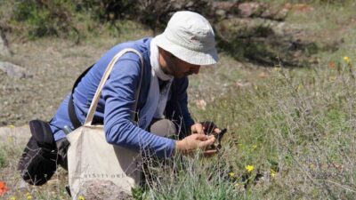 Malatya’nın Darende ilçesinde yürütülen “Darende Florası Projesi” kapsamında ilk kapsamlı