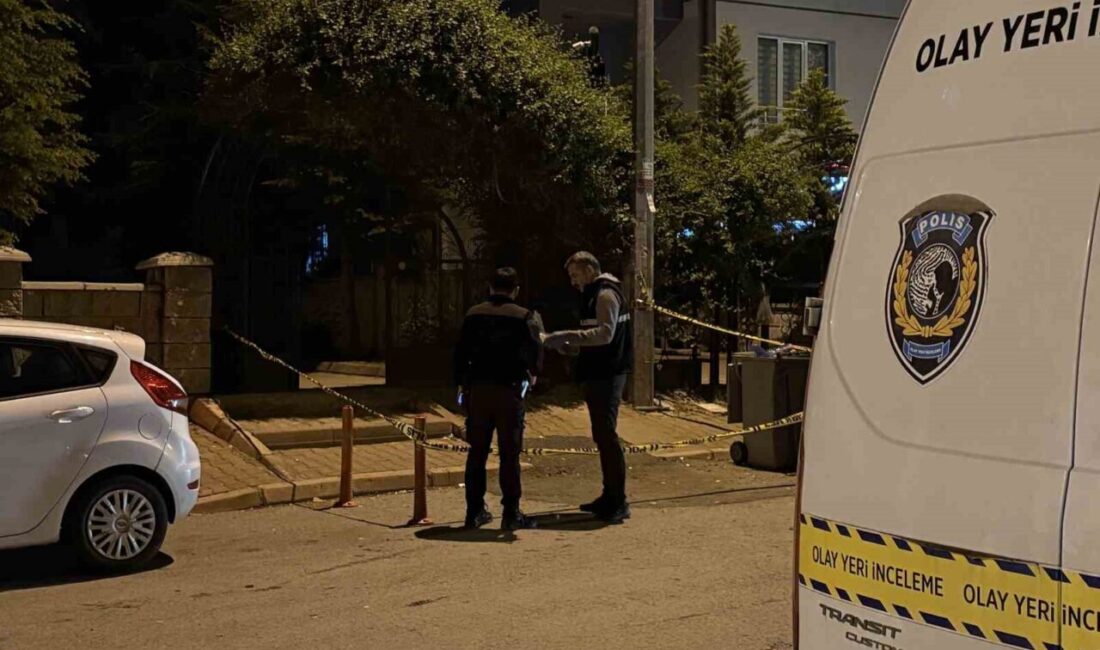 Kayseri’nin Talas ilçesinde darp edilen kadını kurtarmaya çalışan 2 kardeş