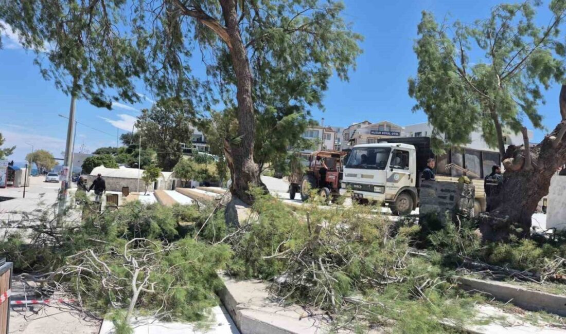 Muğla’nın Datça ilçesinde etkili olan kuvvetli rüzgar, Cumhuriyet Meydanı’nda tehlikeli