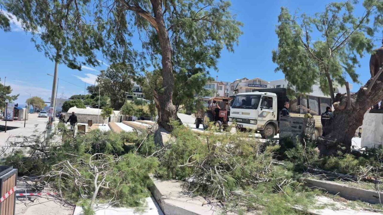 Muğla’nın Datça ilçesinde etkili olan kuvvetli rüzgar, Cumhuriyet Meydanı’nda tehlikeli