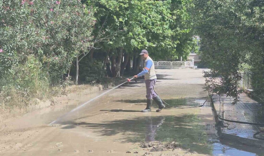 Aydın’ın Kuşadası ilçesine bağlı Davutlar Mahallesi’nde yaklaşan Kurban Bayramı öncesinde