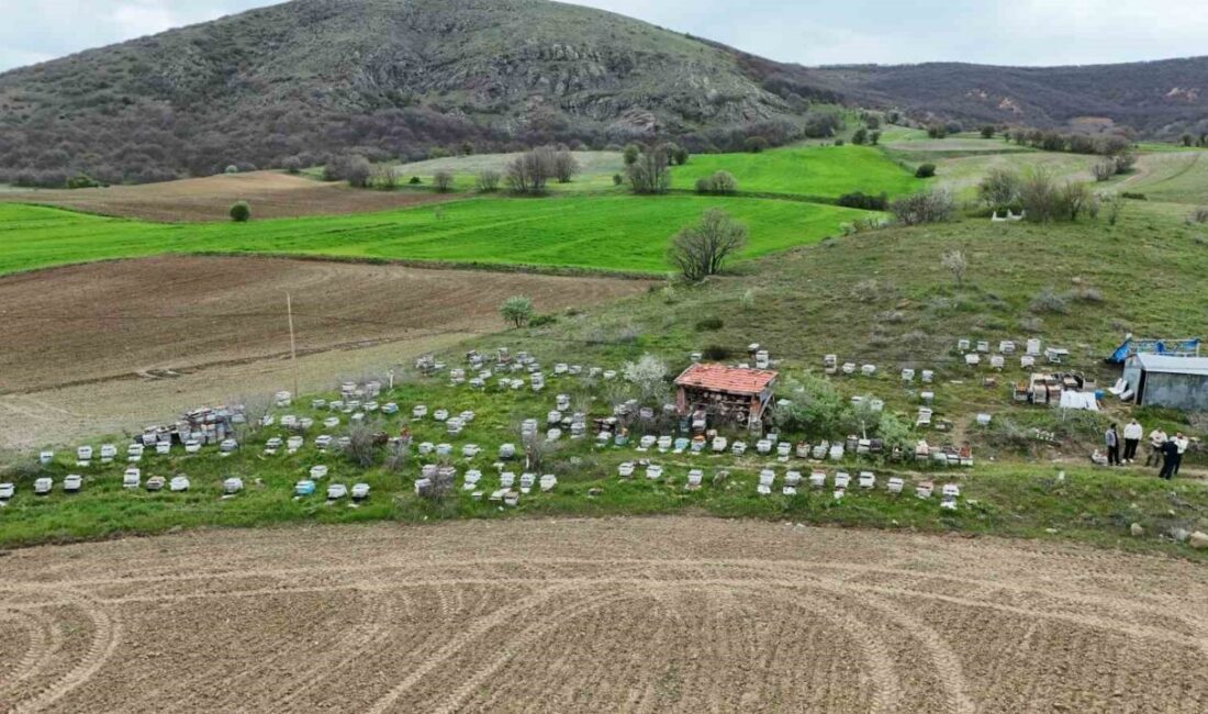 Yozgat’ta havaların ısınmasıyla birlikte arıcılar yeni sezon için hazırlıklarını tamamlarken,