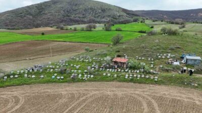 Yozgat’ta havaların ısınmasıyla birlikte arıcılar yeni sezon için hazırlıklarını tamamlarken,
