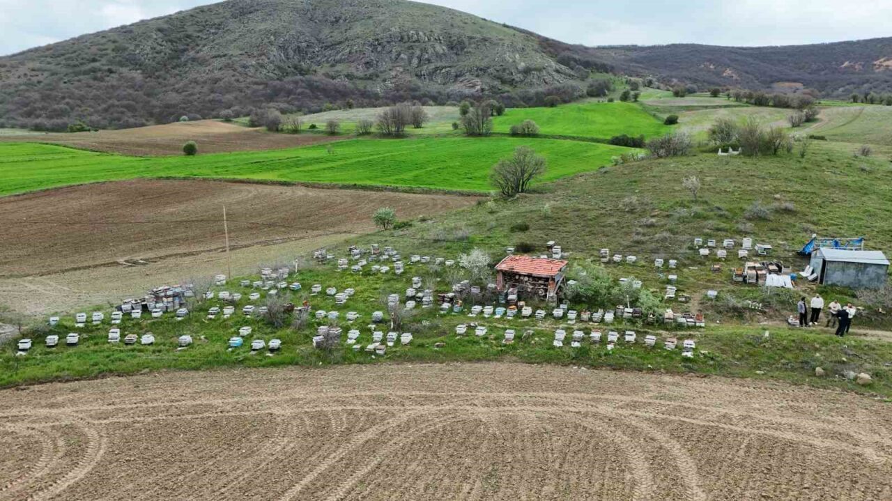 Yozgat’ta havaların ısınmasıyla birlikte arıcılar yeni sezon için hazırlıklarını tamamlarken,