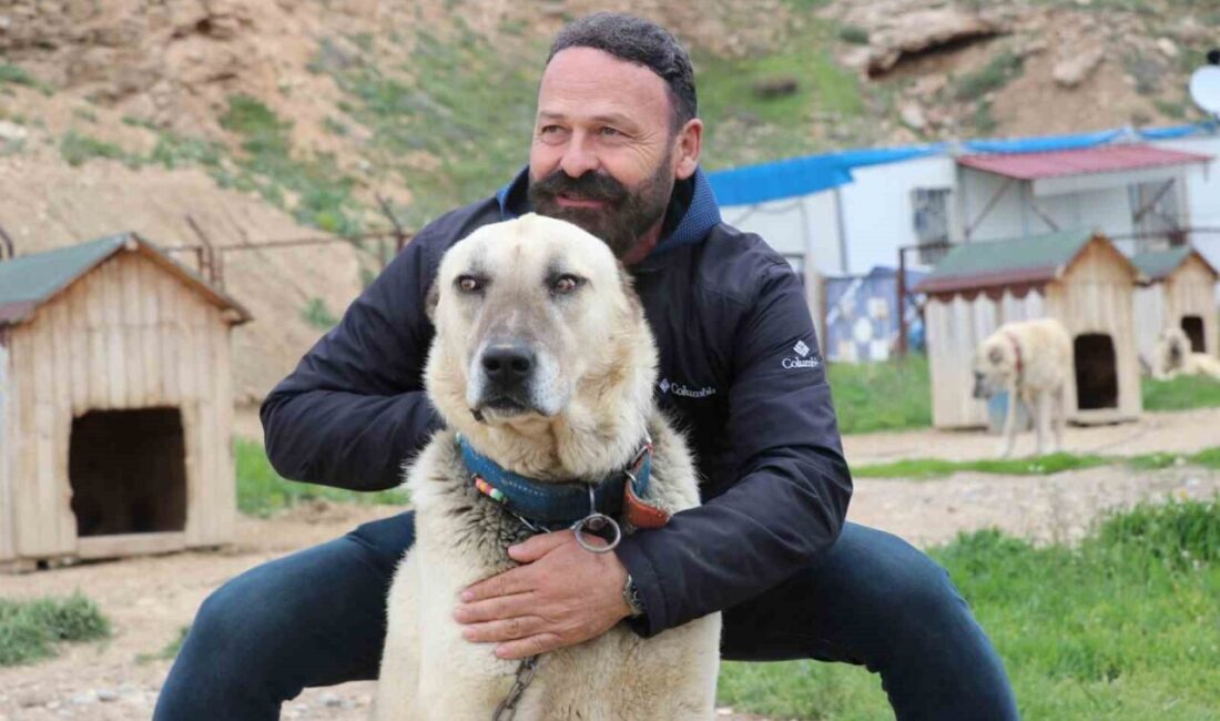 Sivas’ta havanın bir gün sıcak bir gün soğuk seyretmesi dünyaca