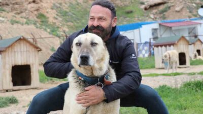 Sivas’ta havanın bir gün sıcak bir gün soğuk seyretmesi dünyaca