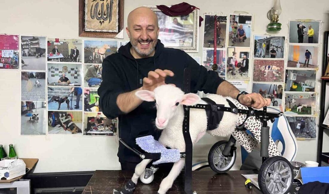 Kocaeli’nin Dilovası ilçesinde yaşayan hidrolik ustası Abdülmenaf Çelik, 20 metrekarelik