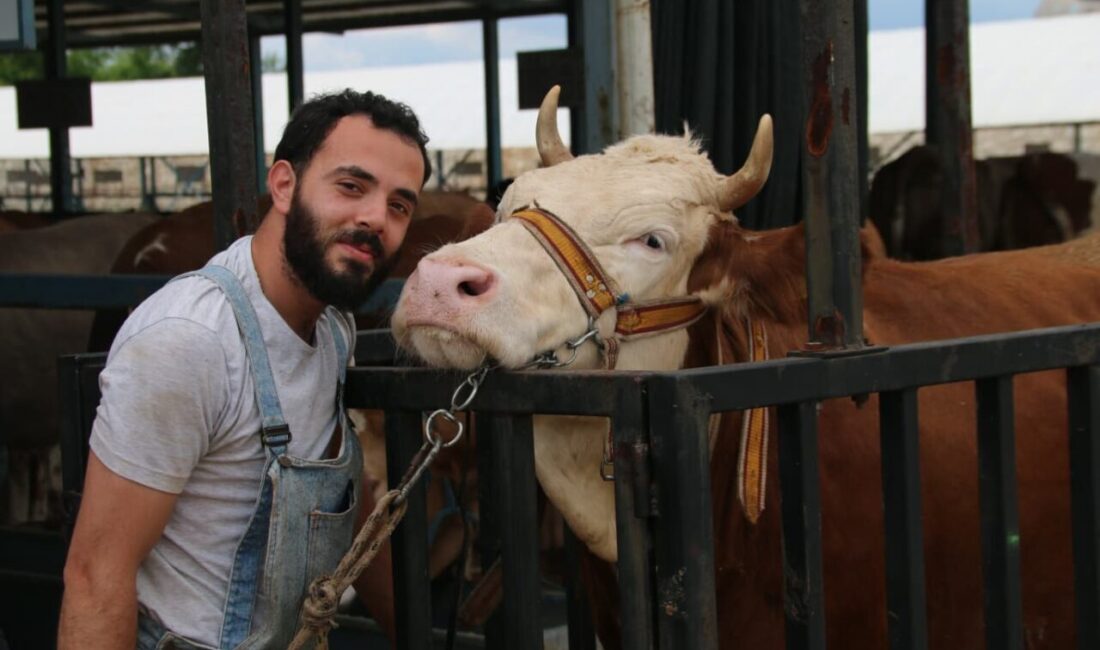 Denizli Ticaret Borsası Kurban Pazarı, yaklaşan Kurban Bayramı dolayısıyla hareketlendi.