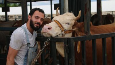 Denizli Ticaret Borsası Kurban Pazarı, yaklaşan Kurban Bayramı dolayısıyla hareketlendi.