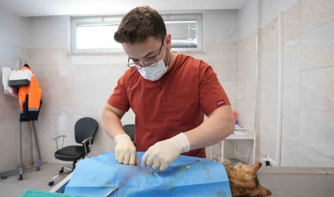 Denizli Büyükşehir Belediyesi Sokak Hayvanları Barınma ve Rehabilitasyon Merkezi, 2026’nın
