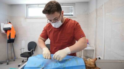 Denizli Büyükşehir Belediyesi Sokak Hayvanları Barınma ve Rehabilitasyon Merkezi, 2026’nın
