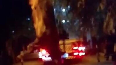 İzmir’in Bayraklı ilçesinde dereye düşen kurbanlık dana, vinç yardımıyla kurtarıldı.