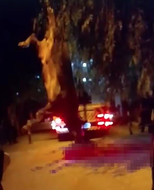İzmir’in Bayraklı ilçesinde dereye düşen kurbanlık dana, vinç yardımıyla kurtarıldı.