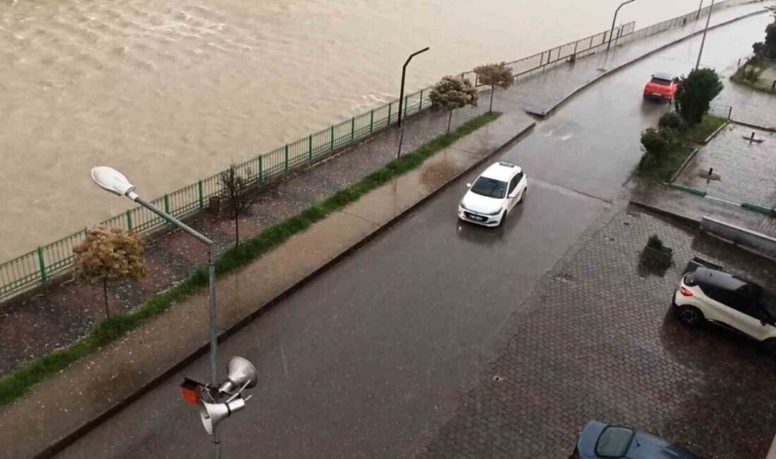 Zonguldak’ın Devrek ilçesinde misket büyüklüğünde dolu yağışı etkili oldu. Devrek