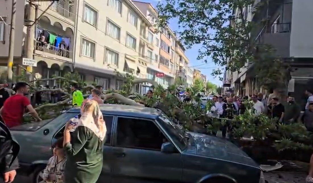 Bursa’nın Karacabey ilçesinde devrilen ağacın altında kalan motosiklet sürücüsünün durumunun