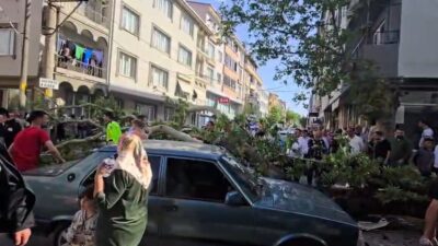 Bursa’nın Karacabey ilçesinde devrilen ağacın altında kalan motosiklet sürücüsünün durumunun