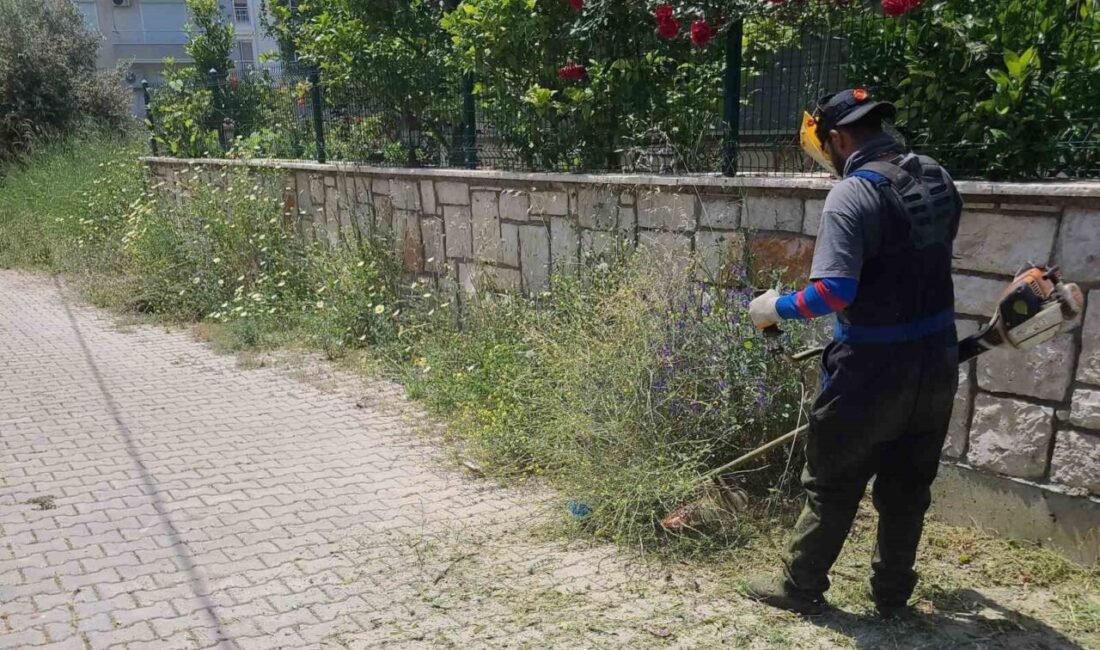 Didim Belediyesi Park ve Bahçeler Müdürlüğü ekipleri, ilçe genelinde yeşil