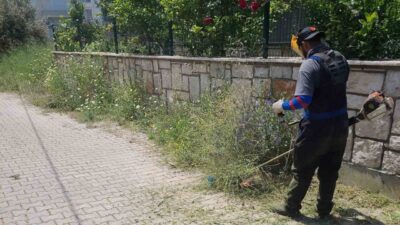 Didim Belediyesi Park ve Bahçeler Müdürlüğü ekipleri, ilçe genelinde yeşil