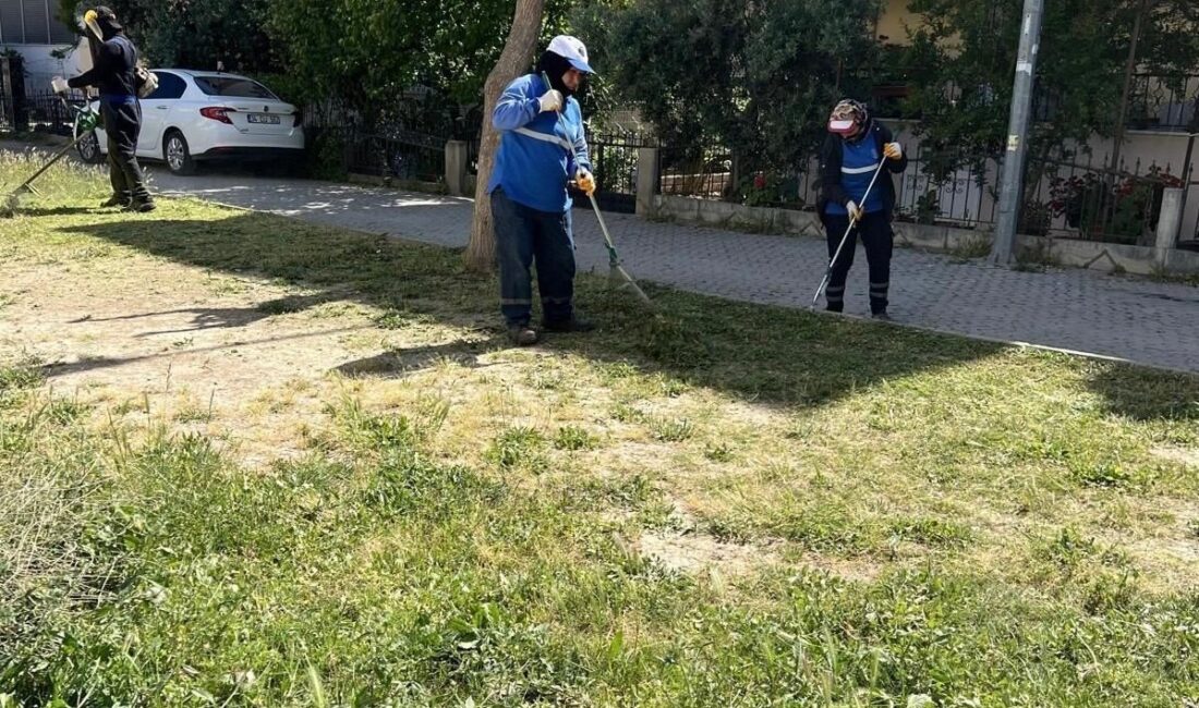 Didim Belediyesi Park ve Bahçeler Müdürlüğü ekipleri, ilçe genelinde yeşil